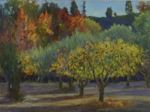 Fall Orchard