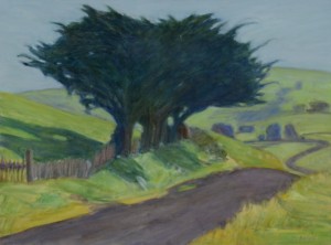 Backroad Cypress  12"x16"  Oil